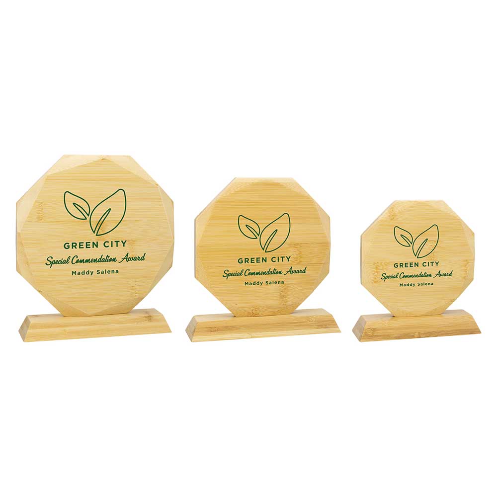 Aspire Bamboo Award - Trophies - Prudhoe Rosettes