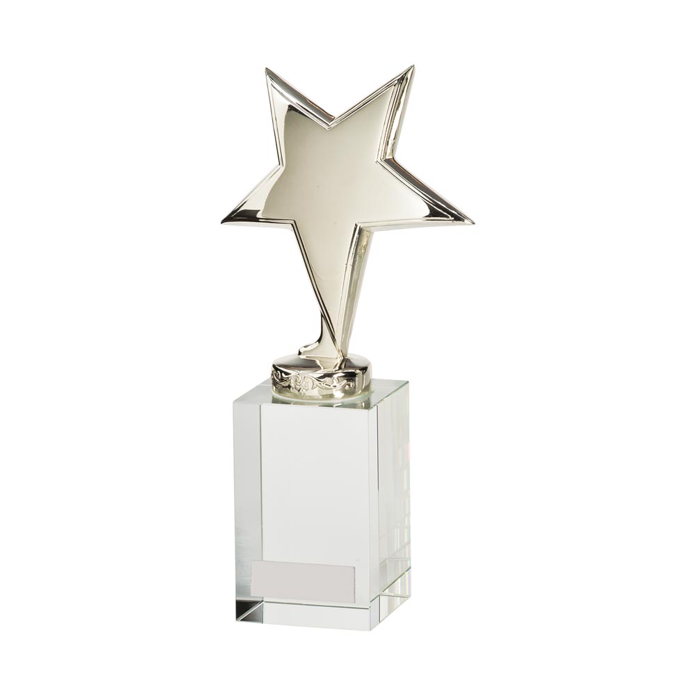 Dallas Crystal & Chrome Award