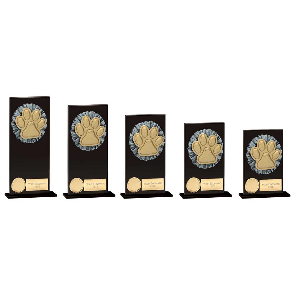 Euphoria Hero Dog Agility Glass Award - Trophies - Prudhoe Rosettes