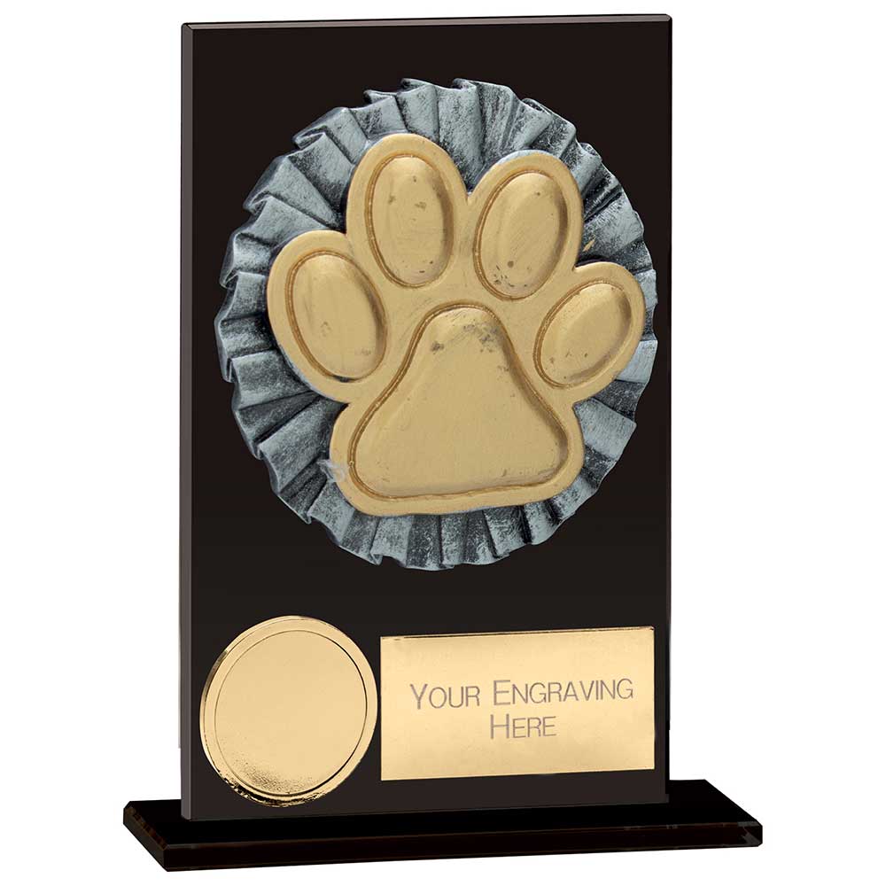Euphoria Hero Dog Agility Glass Award
