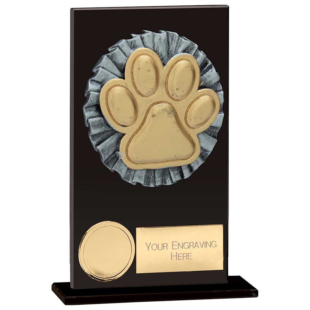 Euphoria Hero Dog Agility Glass Award