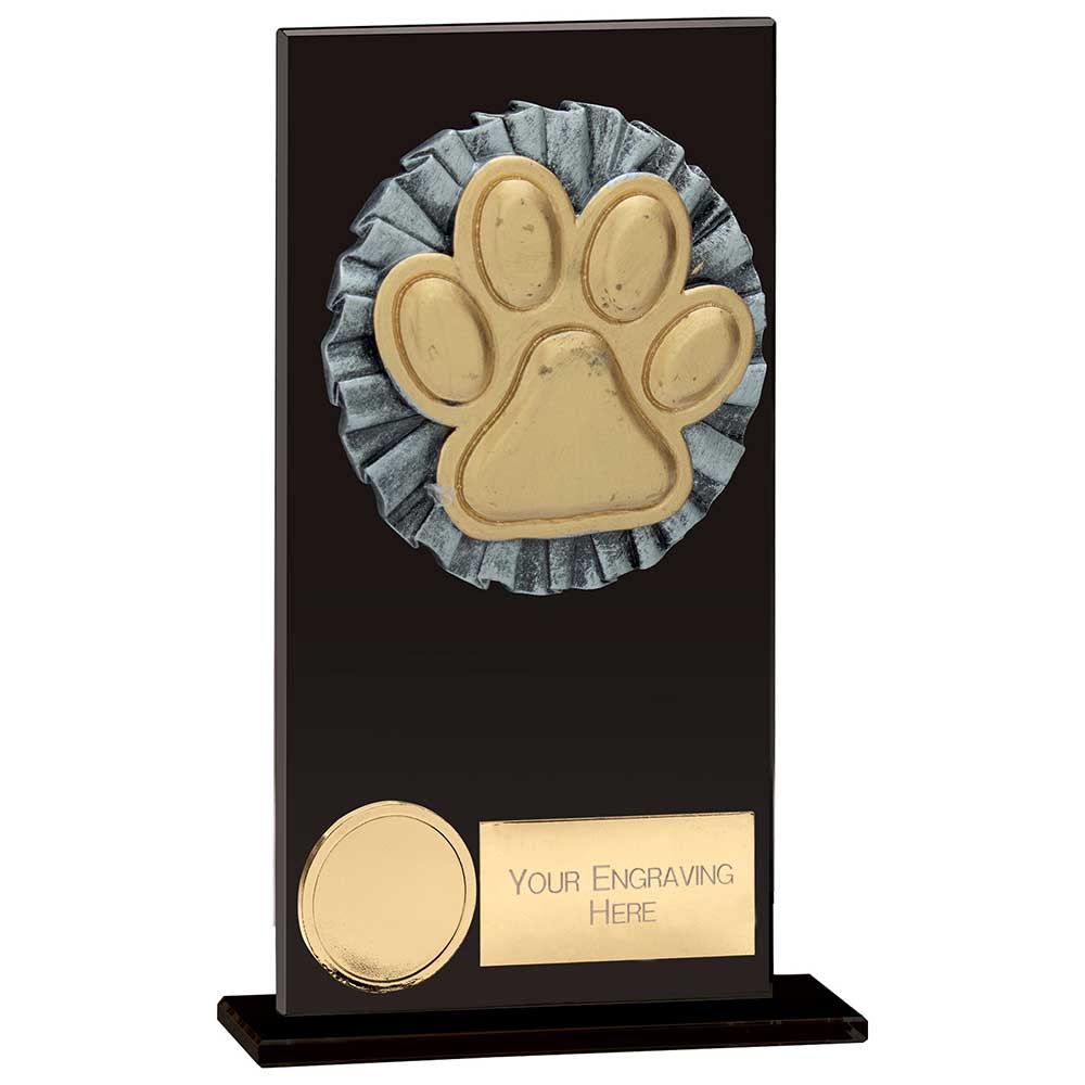 Euphoria Hero Dog Agility Glass Award