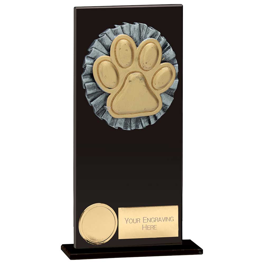 Euphoria Hero Dog Agility Glass Award