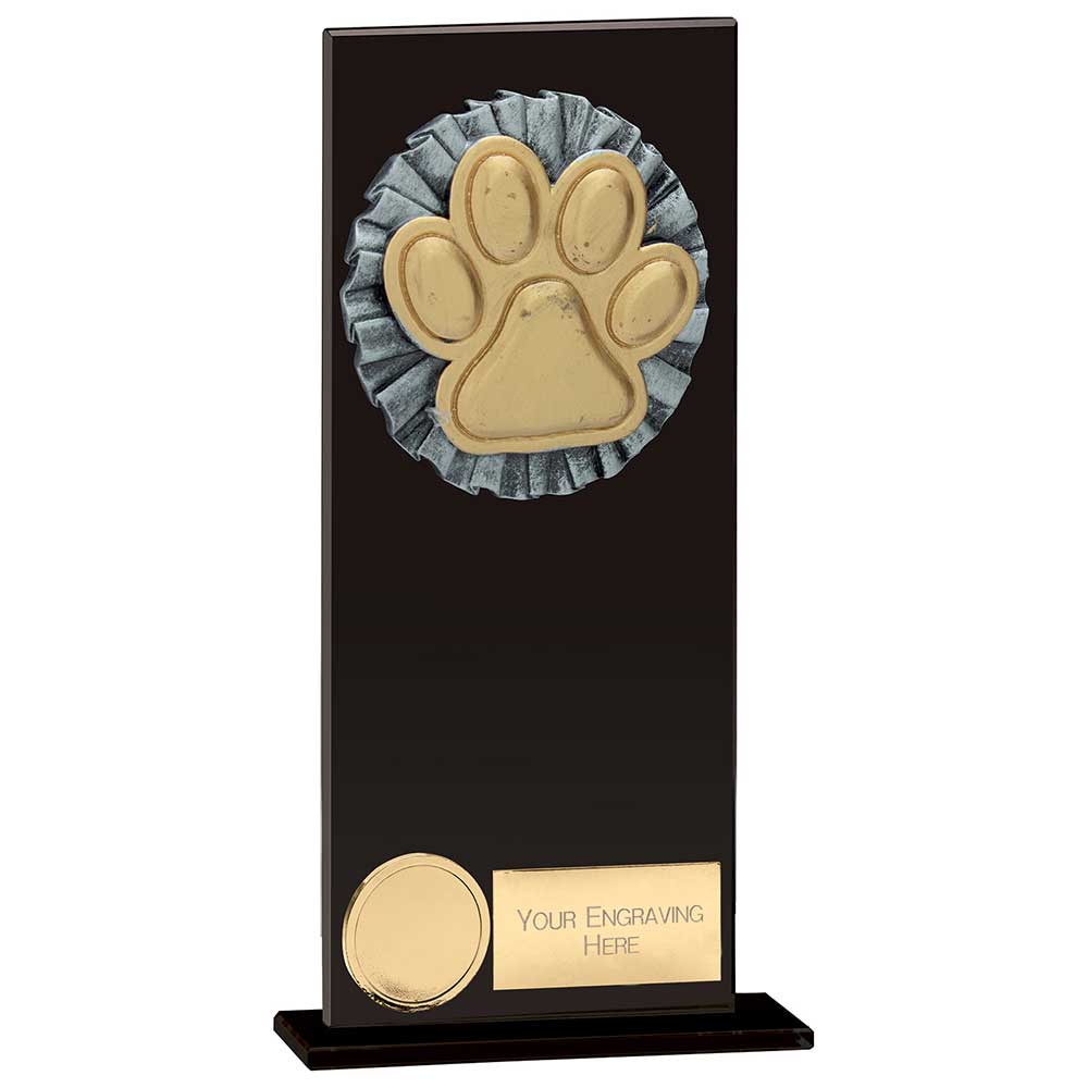 Euphoria Hero Dog Agility Glass Award