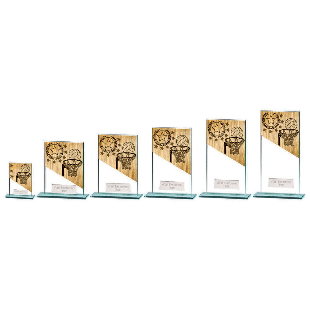 Mustang Netball Jade Glass Award - Trophies - Prudhoe Rosettes