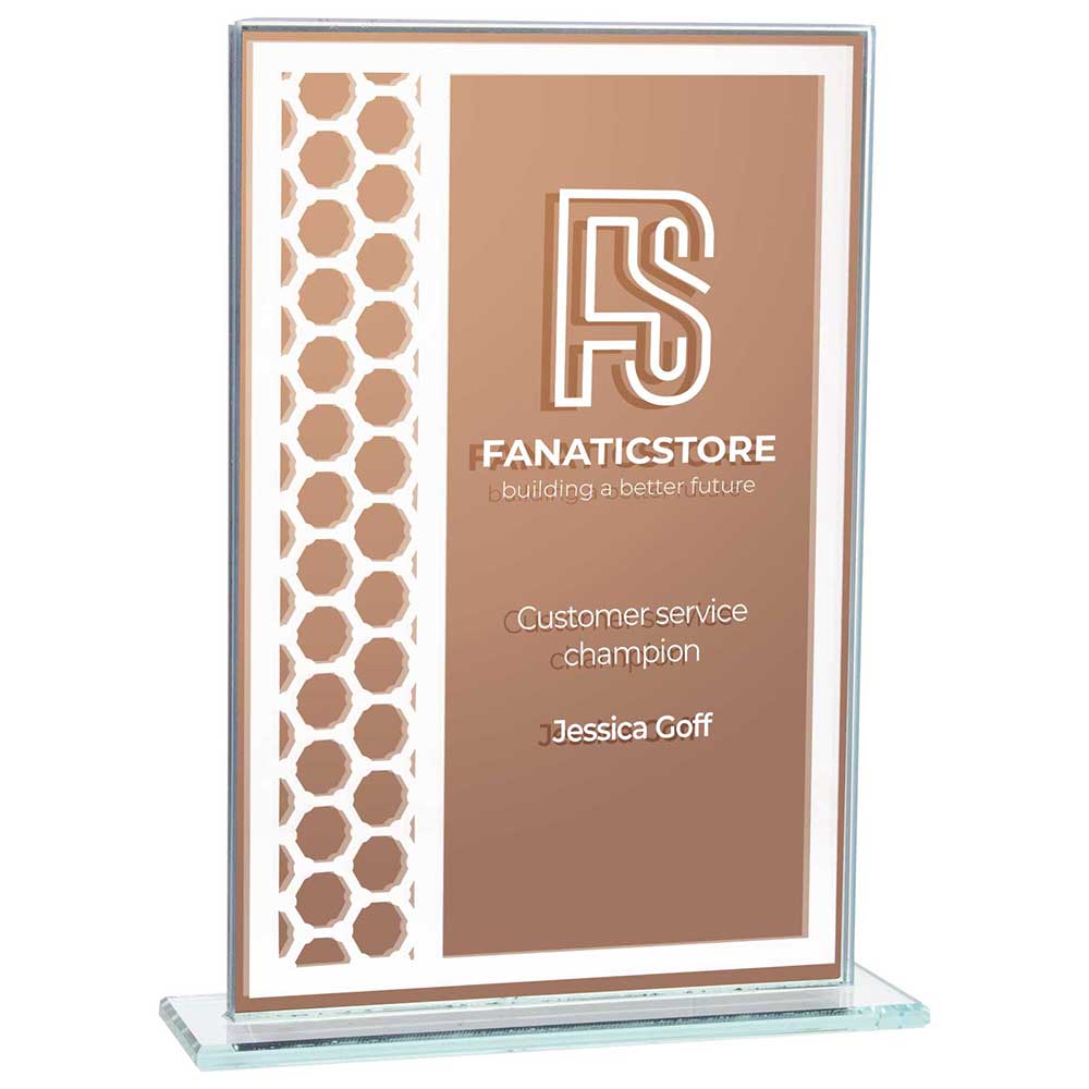 Titanium Mirrored Glass Award Bronze