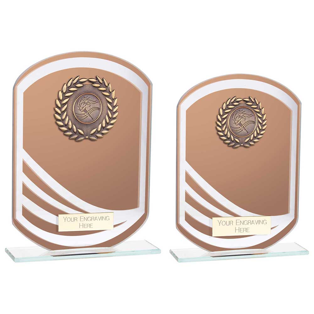 Argon Multisport Glass Award Bronze - Trophies - Prudhoe Rosettes