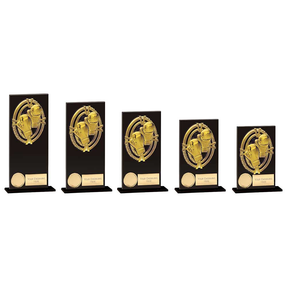 Maverick Fusion Boxing Black Glass - Trophies - Prudhoe Rosettes