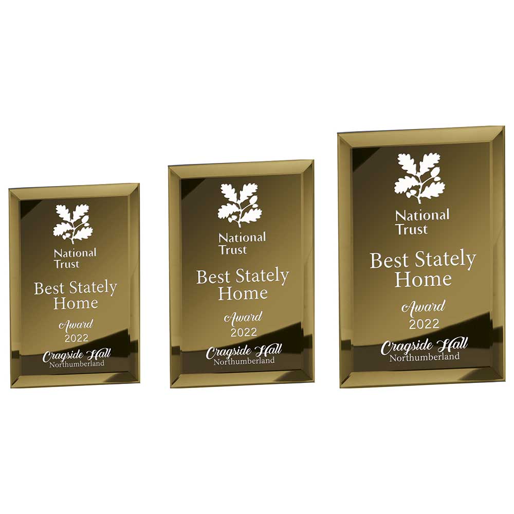 Mirage Gold Mirrored Glass Plaque - Trophies - Prudhoe Rosettes