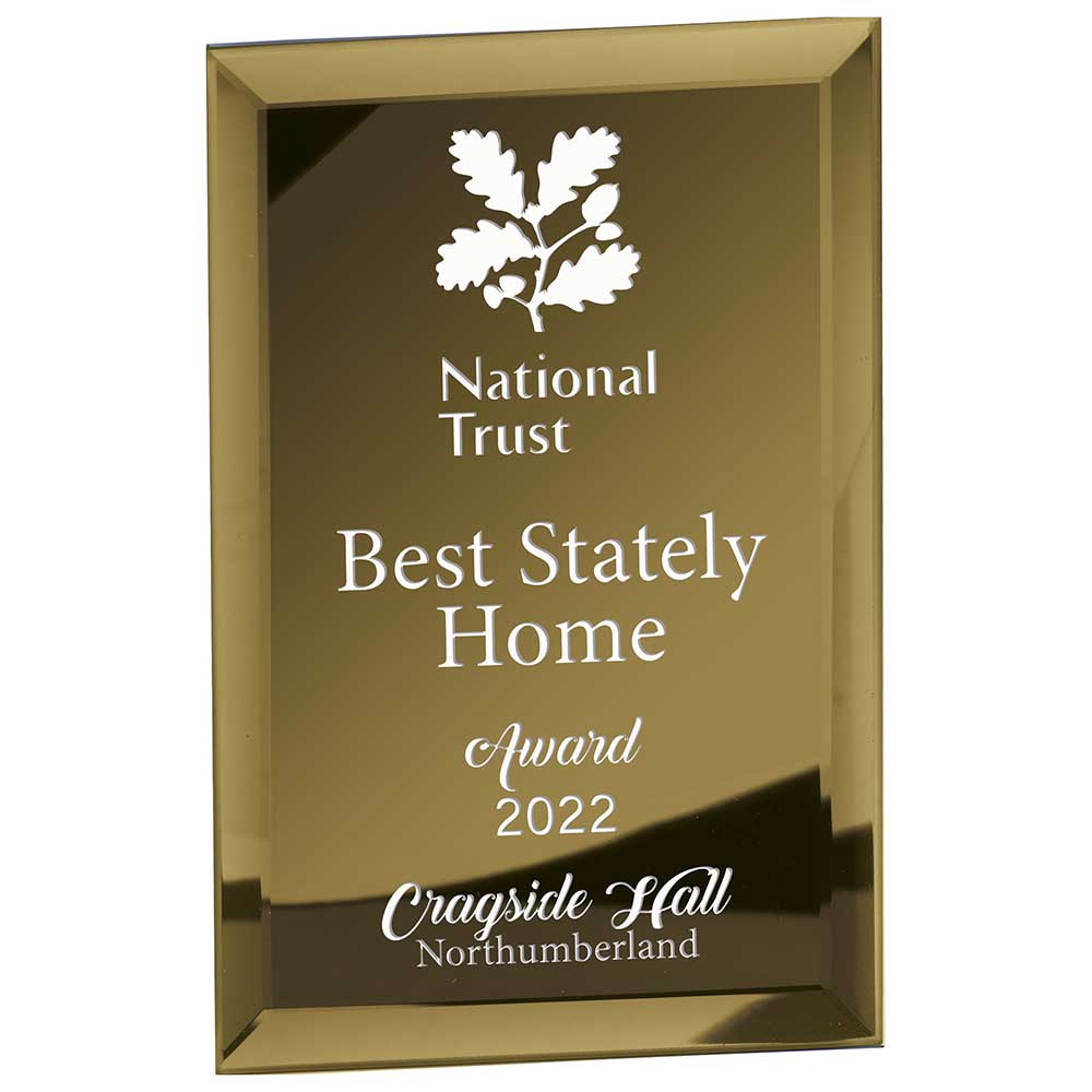 Mirage Gold Mirrored Glass Plaque