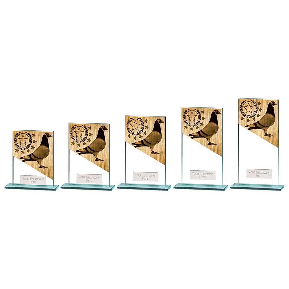 Mustang Pigeon Jade Glass Award - Trophies - Prudhoe Rosettes