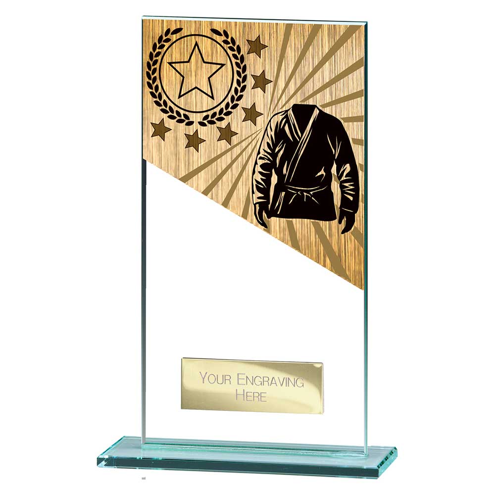 Mustang Martial Arts Jade Glass Award