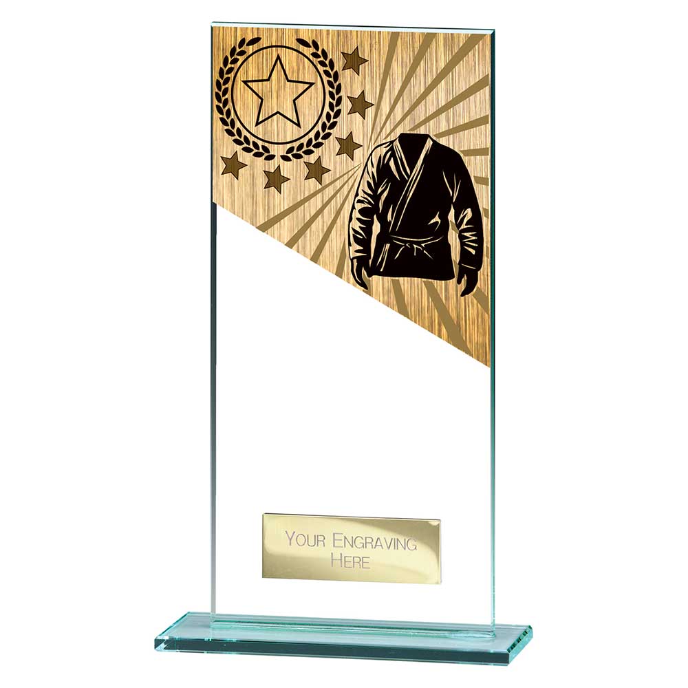 Mustang Martial Arts Jade Glass Award
