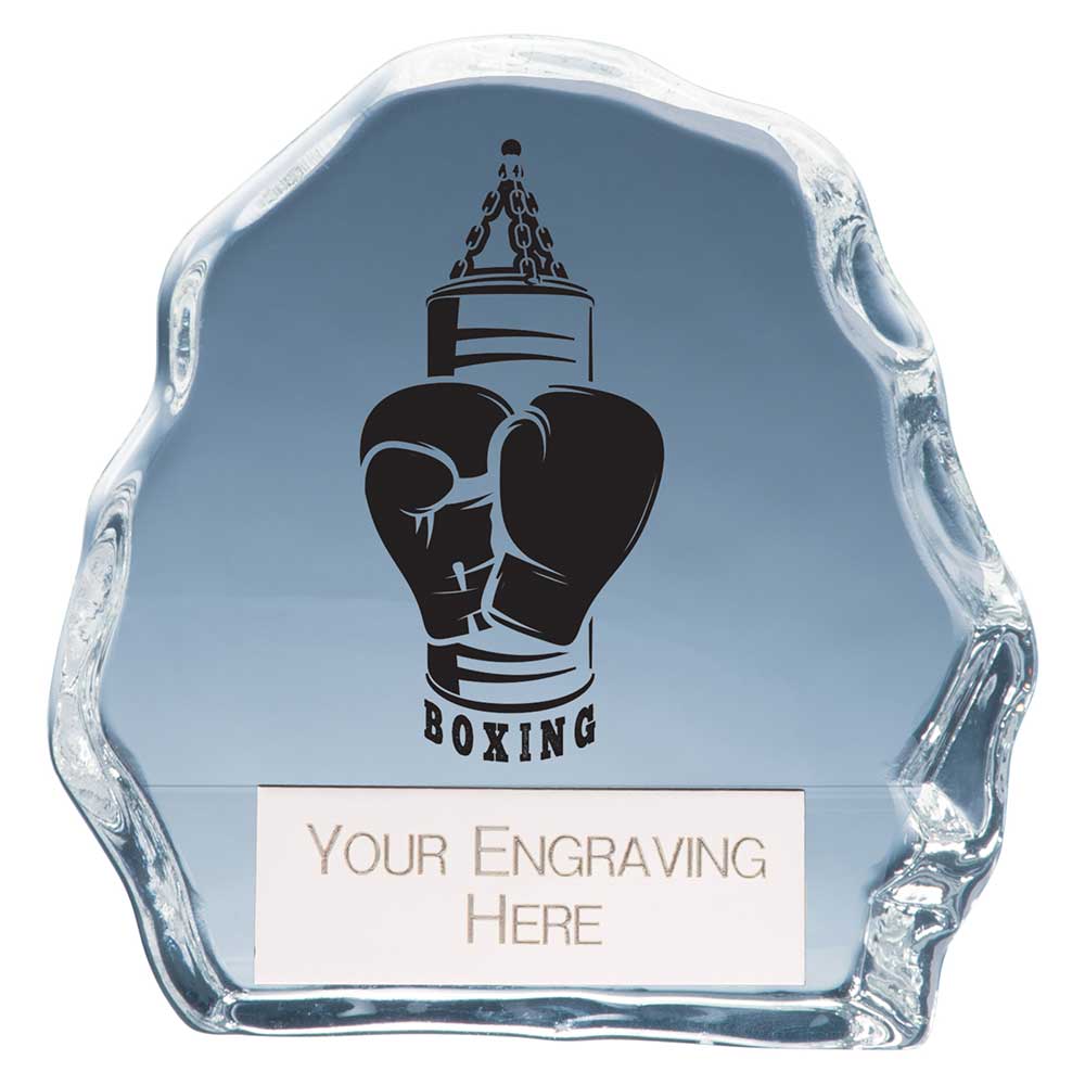 Mystique Boxing Glass Award
