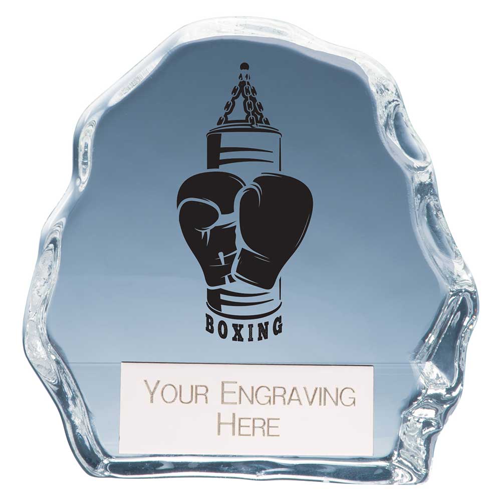 Mystique Boxing Glass Award