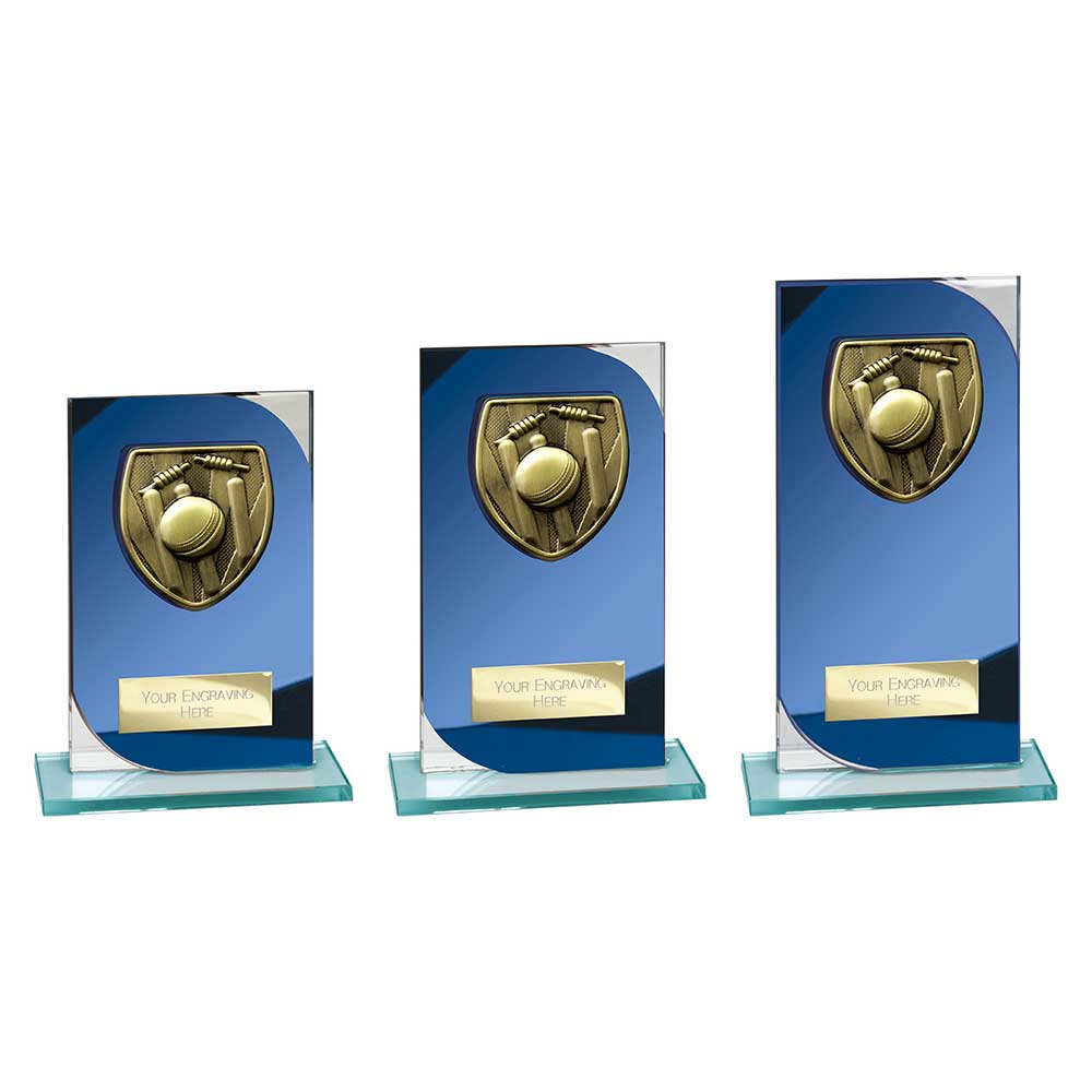 Seismic Cobra Cricket Blue & Silver - Trophies - Prudhoe Rosettes