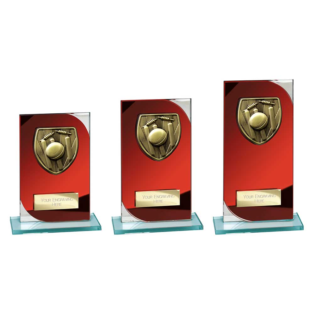 Seismic Cobra Cricket Red & Silver - Trophies - Prudhoe Rosettes