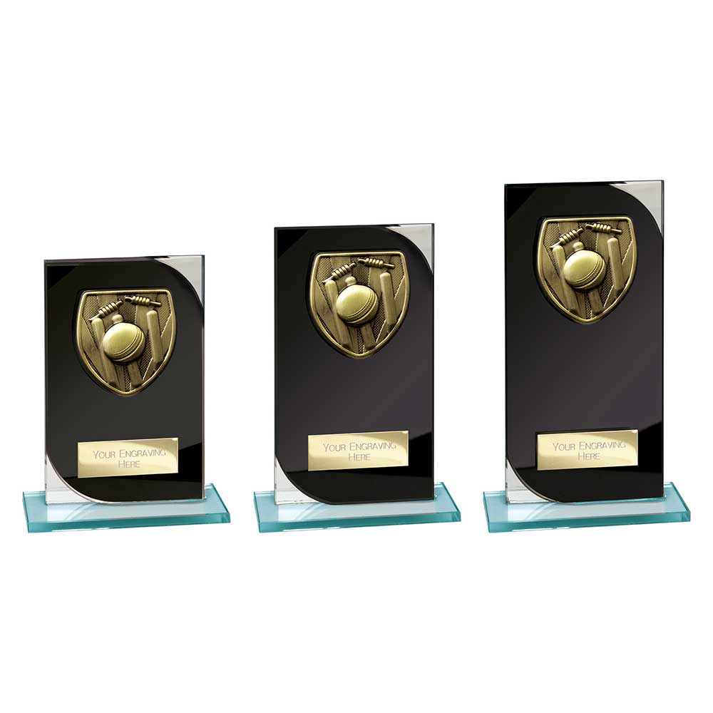 Seismic Cobra Cricket Black & Silver - Trophies - Prudhoe Rosettes