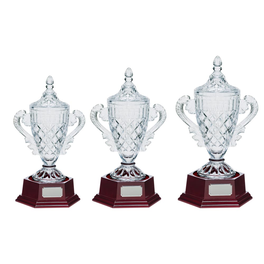 Lindisfarne Champions Cup Vase & Base - Trophies - Prudhoe Rosettes