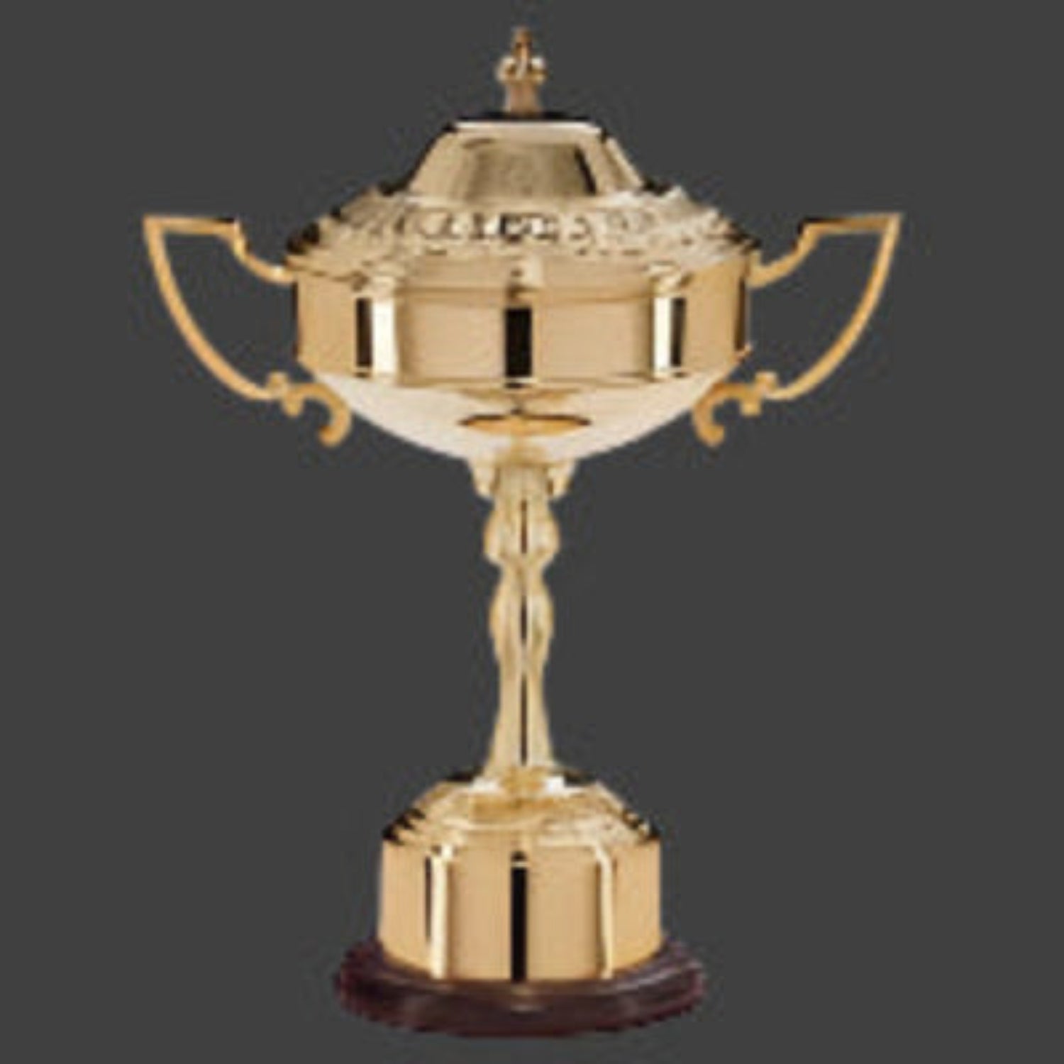 Sterling Gold Plated Cup