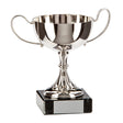 Regency Collection Nickel Plated Cup - Trophies - Prudhoe Rosettes