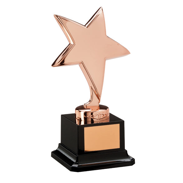 The Challenger Star Bronze Award - Trophies - Prudhoe Rosettes