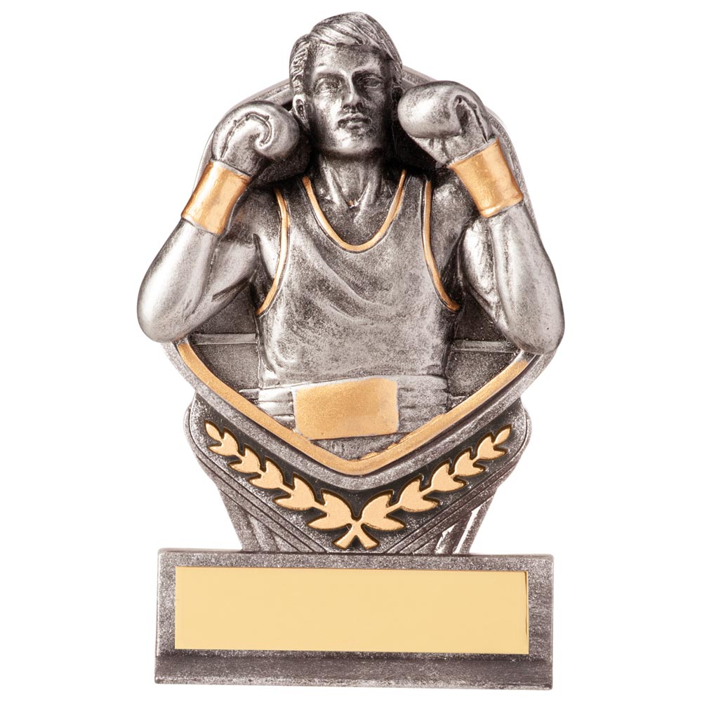 Falcon Boxing Award