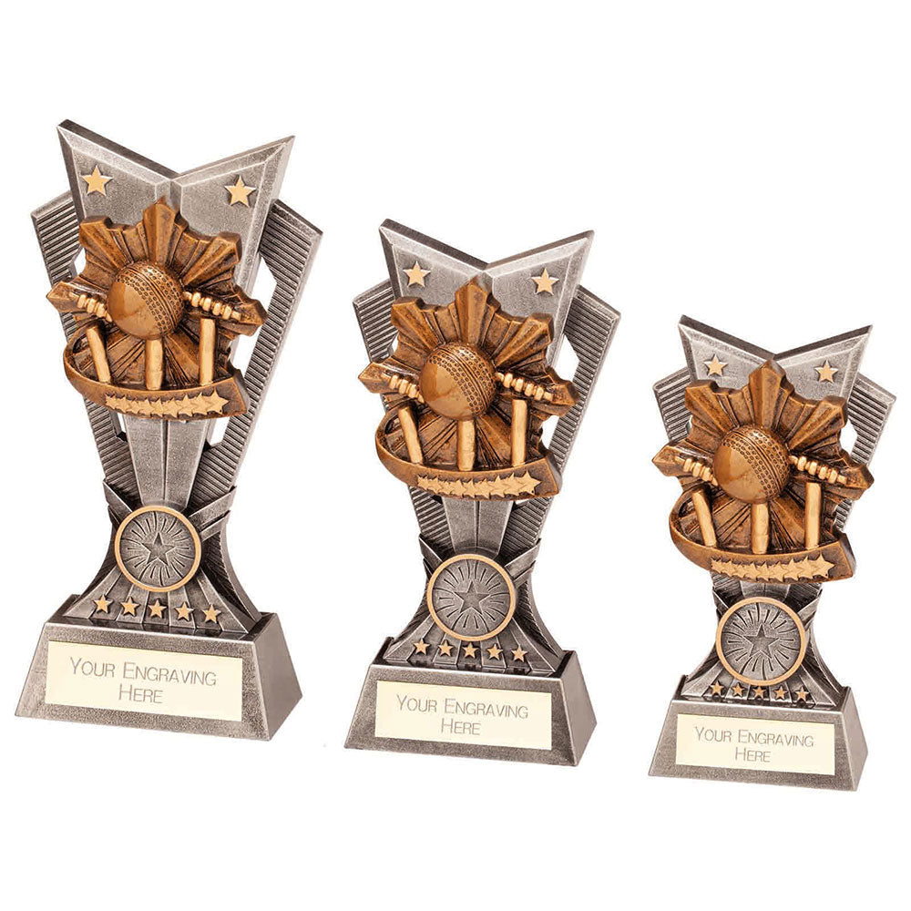 Spectre Cricket Award - Trophies - Prudhoe Rosettes