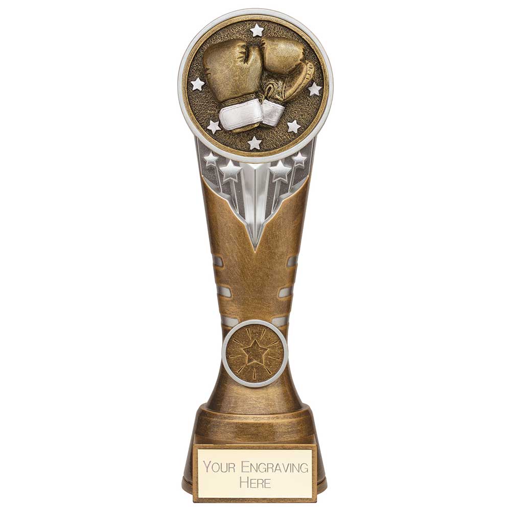 Ikon Tower Boxing Award