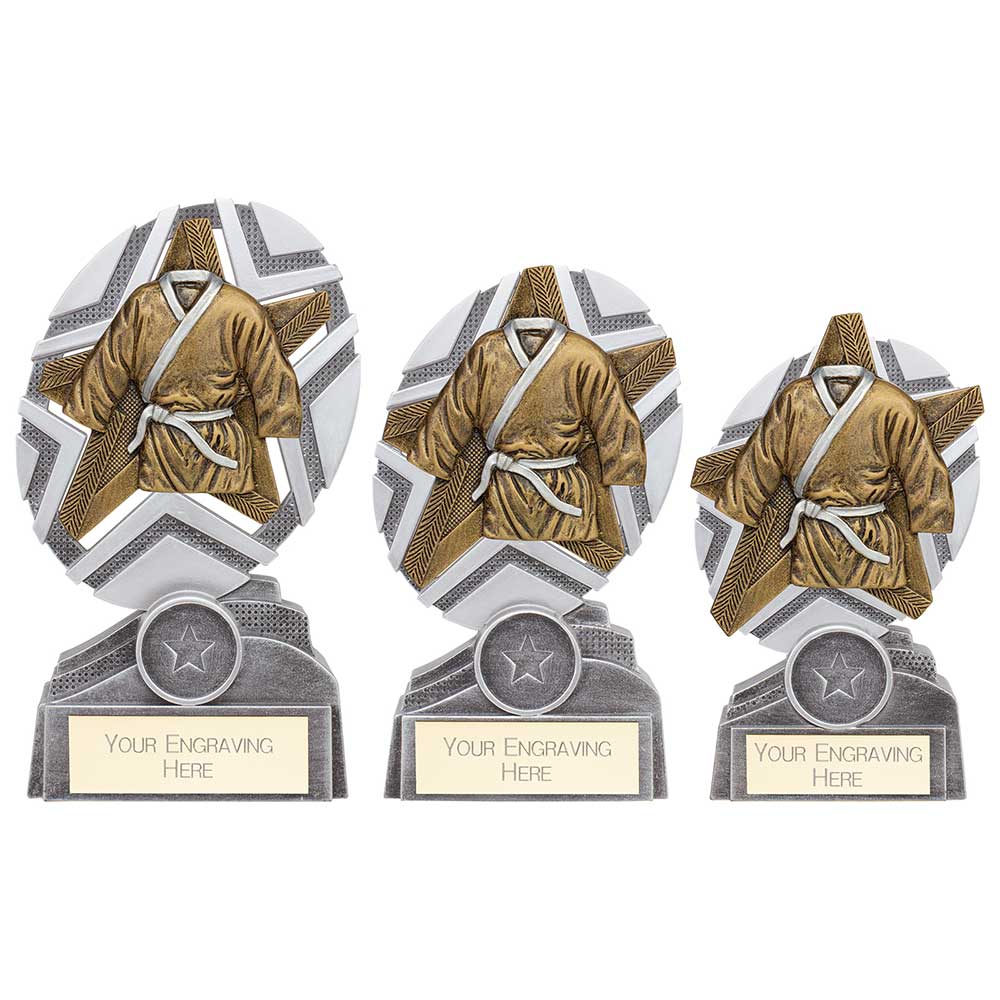 The Stars Martial Arts Plaque Award - Trophies - Prudhoe Rosettes