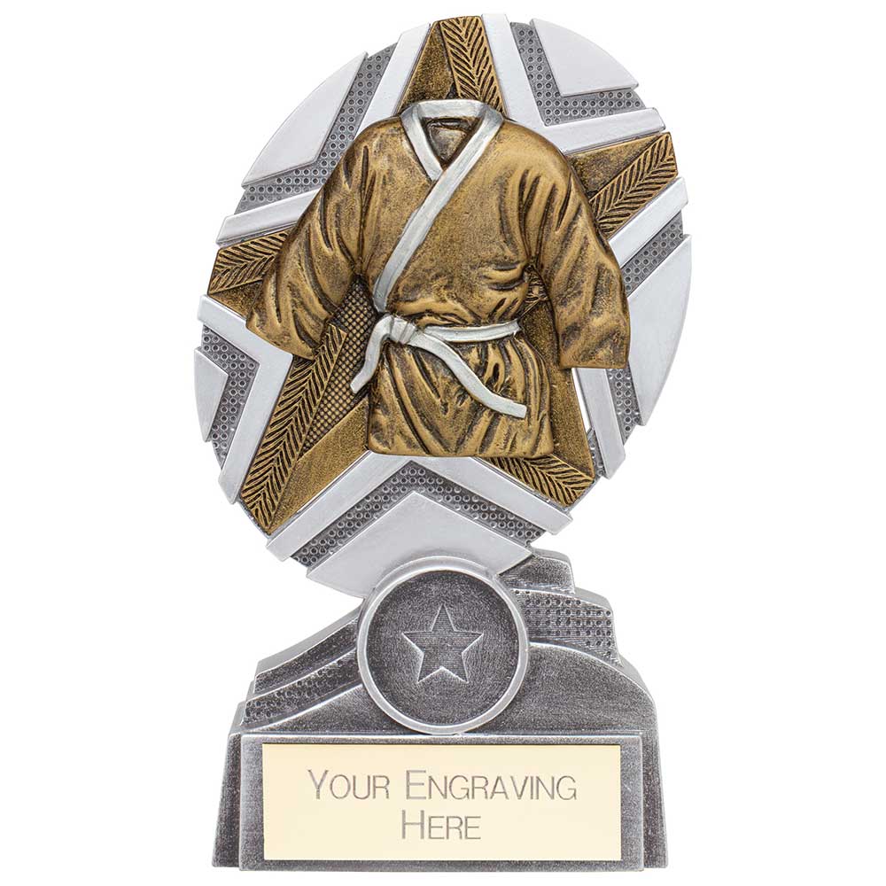 The Stars Martial Arts Plaque Award