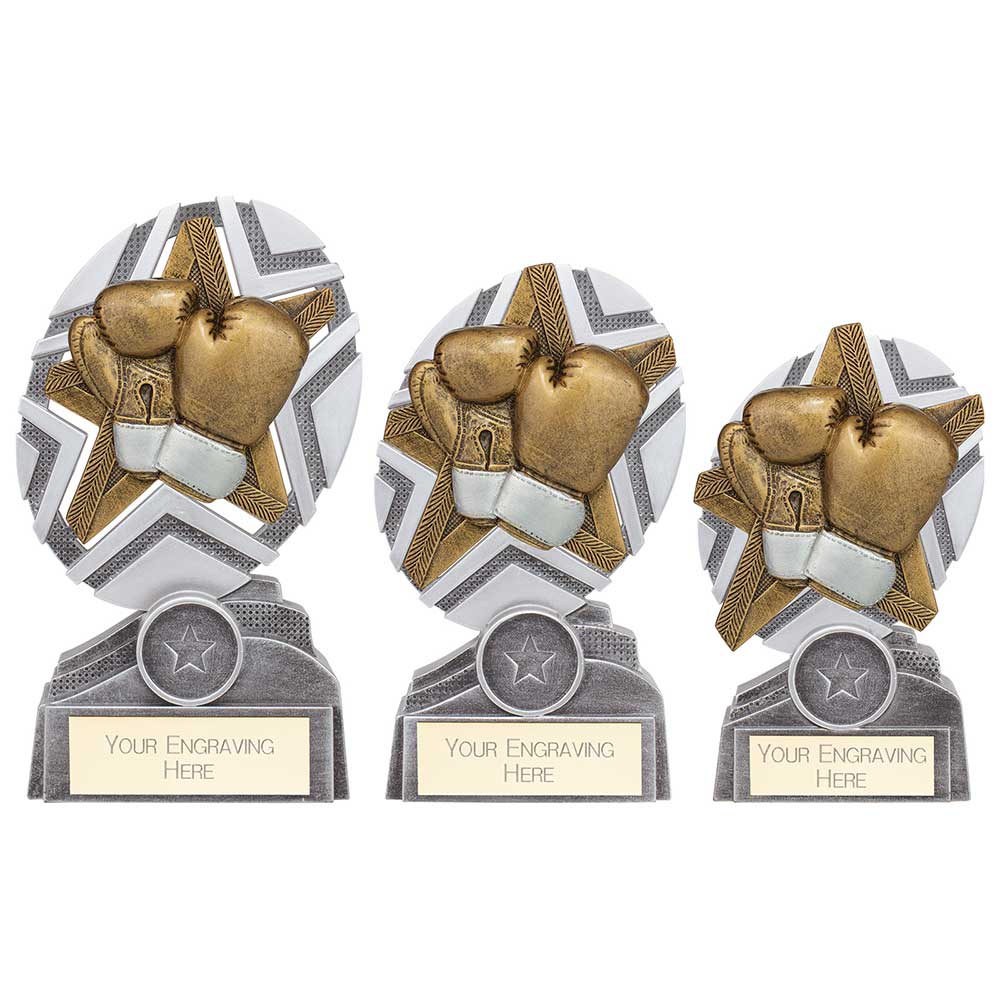 The Stars Boxing Plaque Award - Trophies - Prudhoe Rosettes
