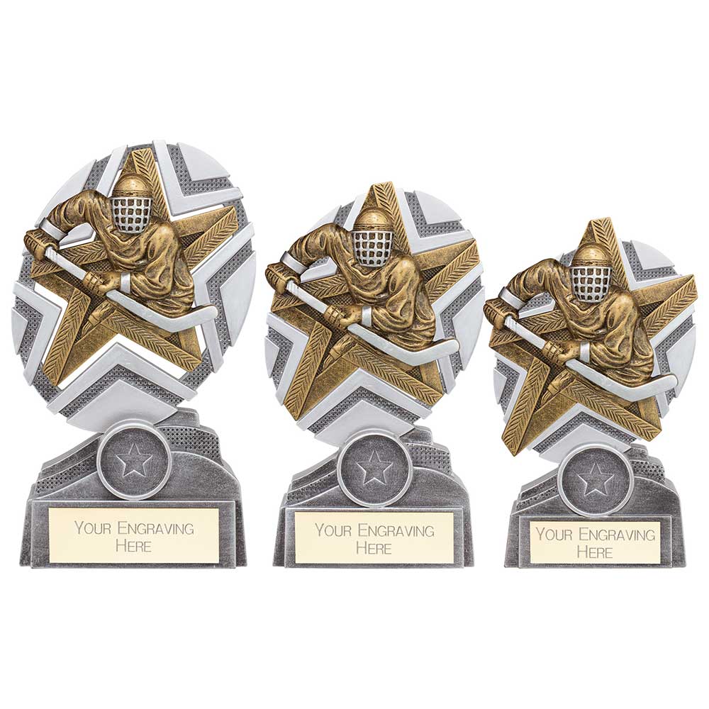 The Stars Ice Hockey Plaque Award - Trophies - Prudhoe Rosettes