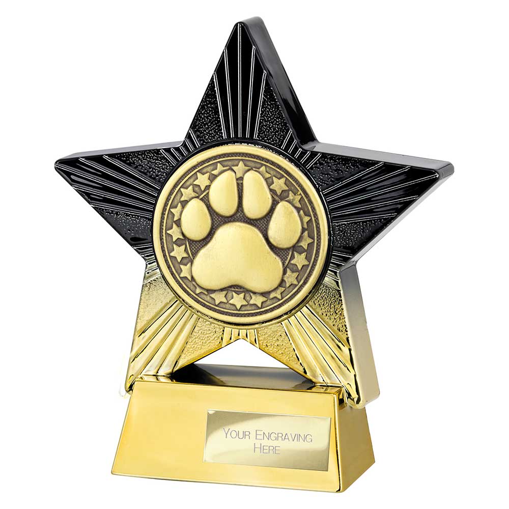 Superstar Dog Agility Award