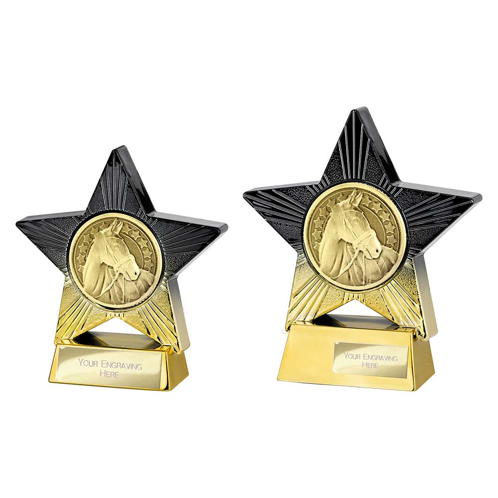 Superstar Equestrian Award - Trophies - Prudhoe Rosettes