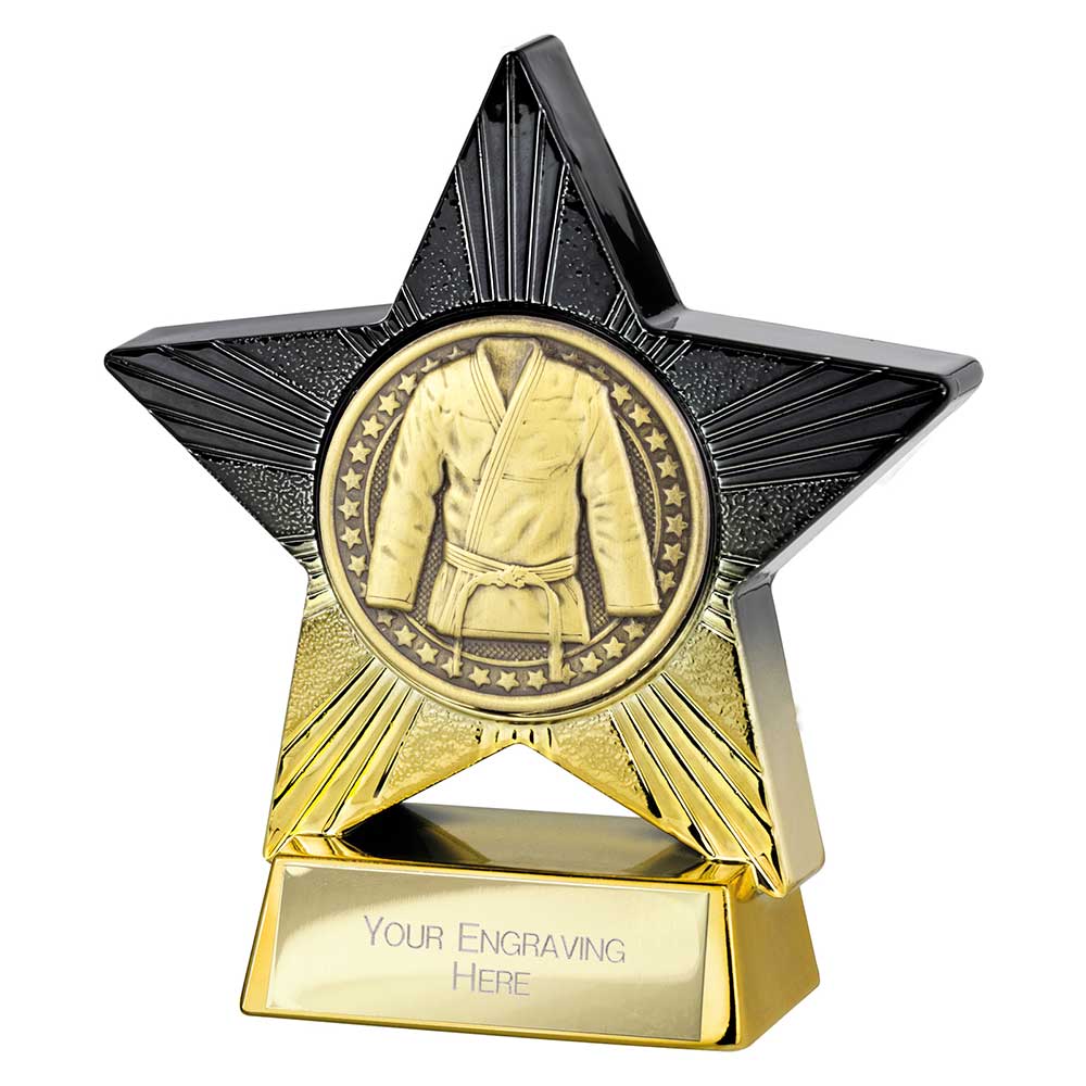 Superstar Martial Arts Award