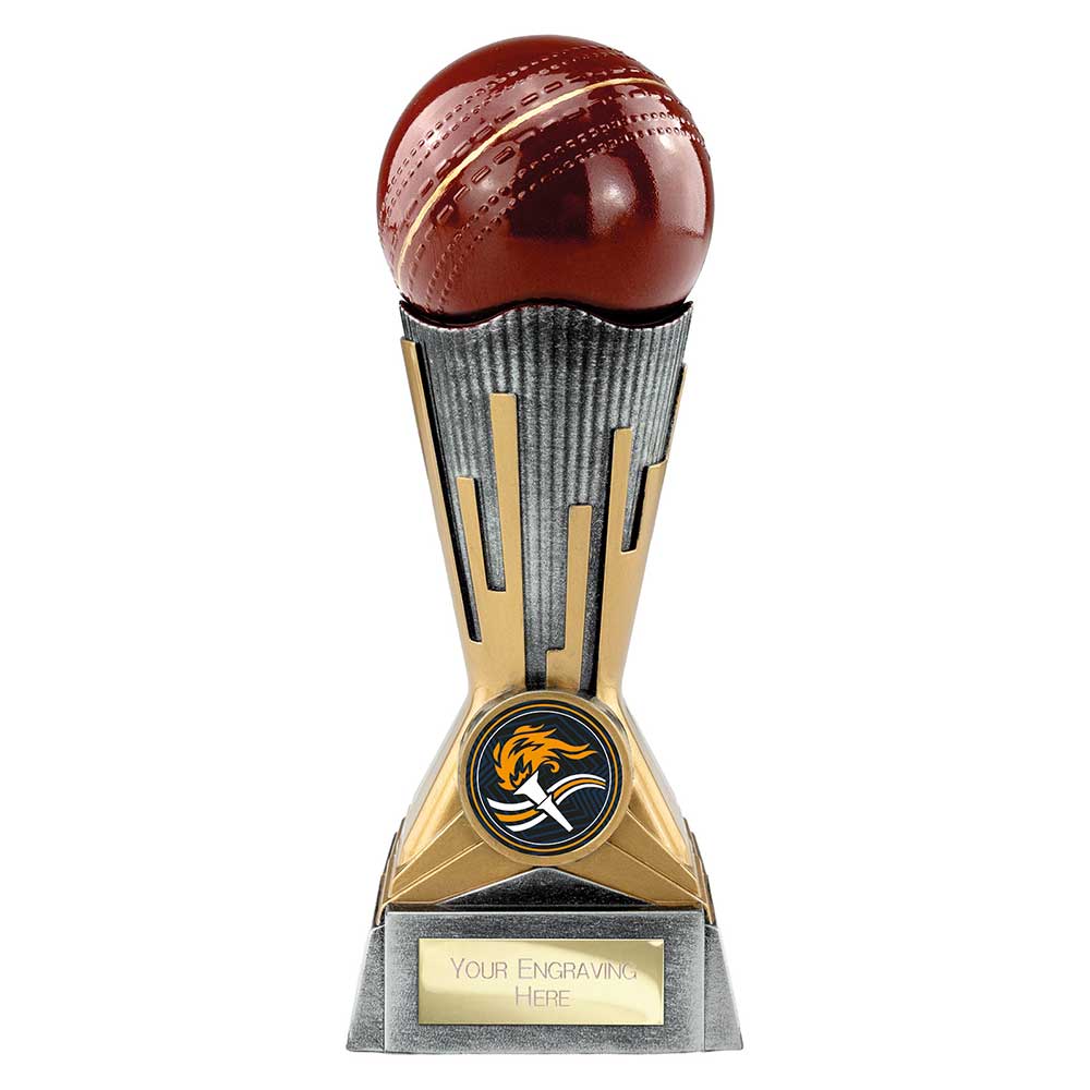 Digital Cricket Award Antique Silver & Gold