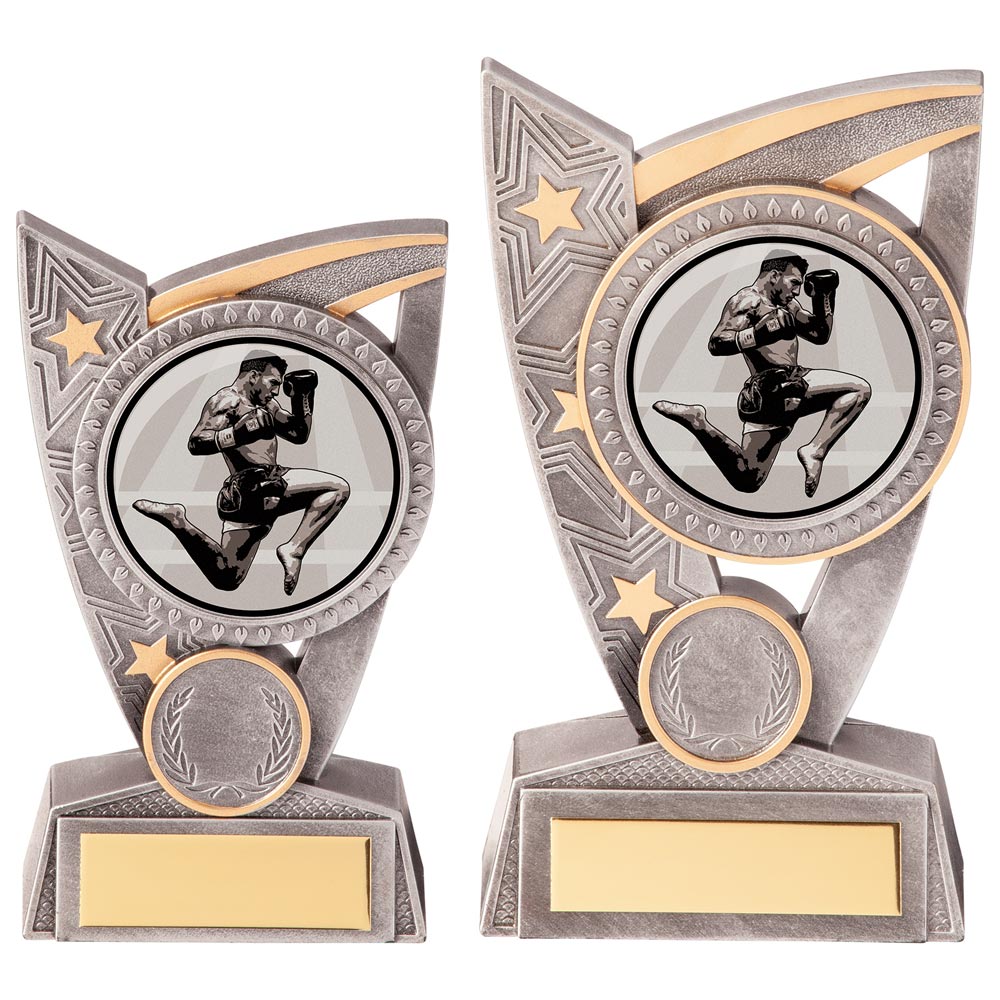Triumph Kickboxing Award - Trophies - Prudhoe Rosettes