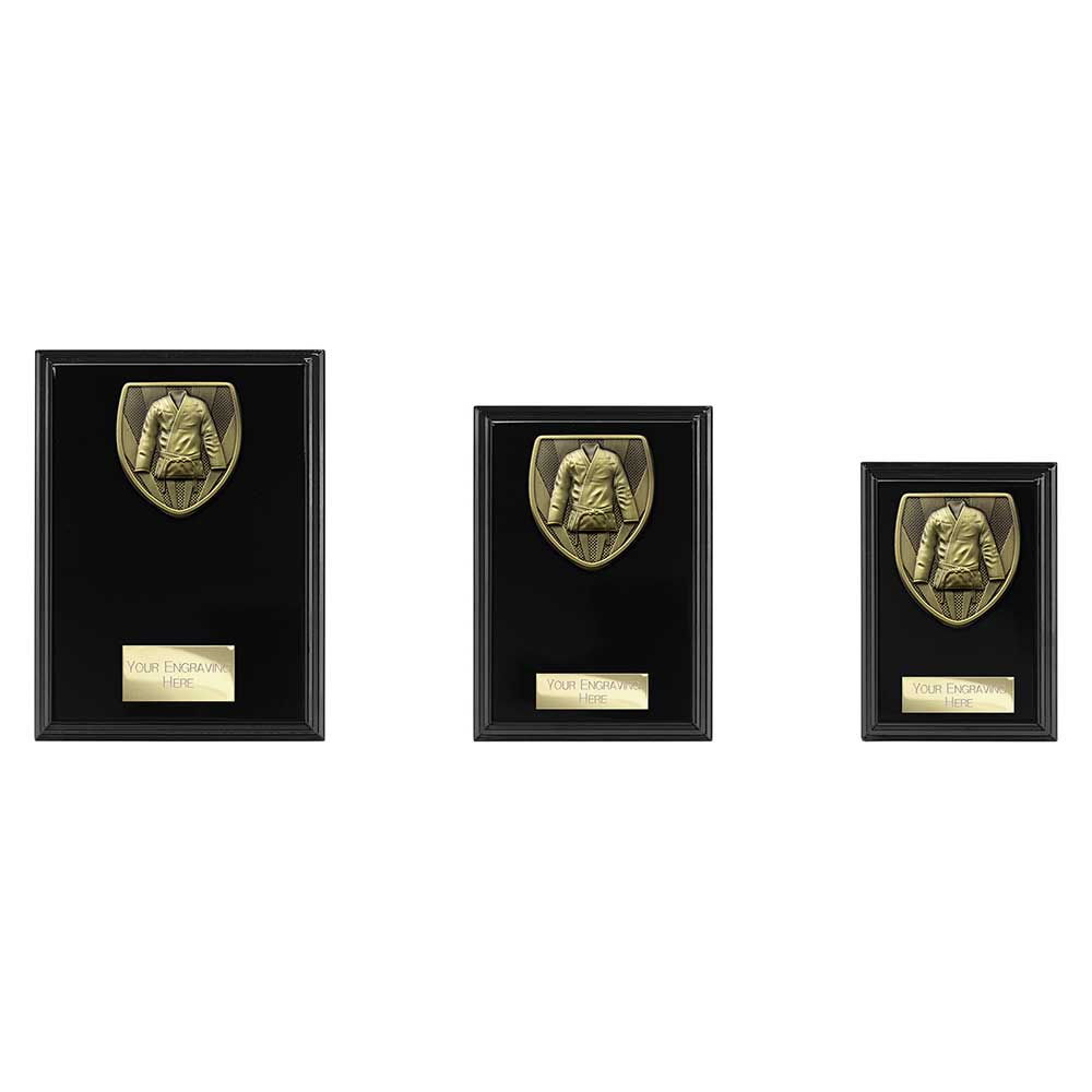 Cobra Plaque Martial Arts Gee Award - Trophies - Prudhoe Rosettes