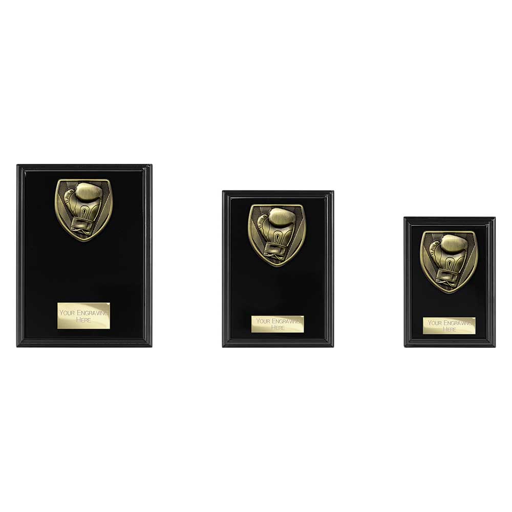 Cobra Plaque Boxing Award - Trophies - Prudhoe Rosettes