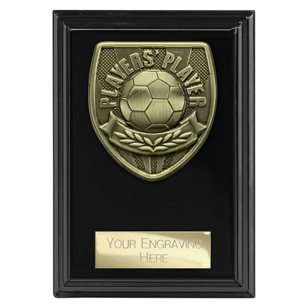 Cobra Plaque Players Player Award