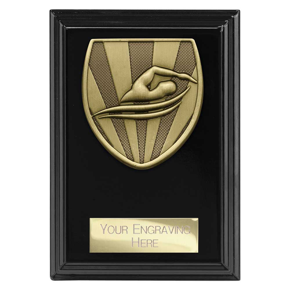 Cobra Plaque Swimming Award