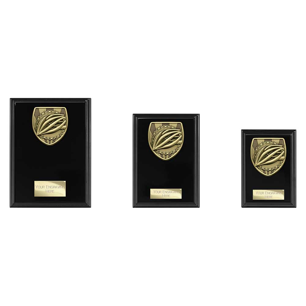 Cobra Plaque Cycling Award - Trophies - Prudhoe Rosettes