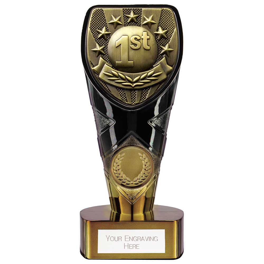 Fusion Cobra 1st Place Award