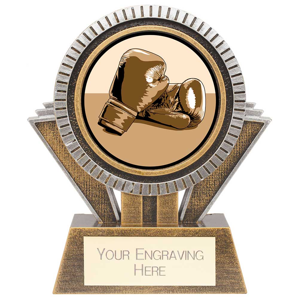 Apex Boxing Award Gold & Silver