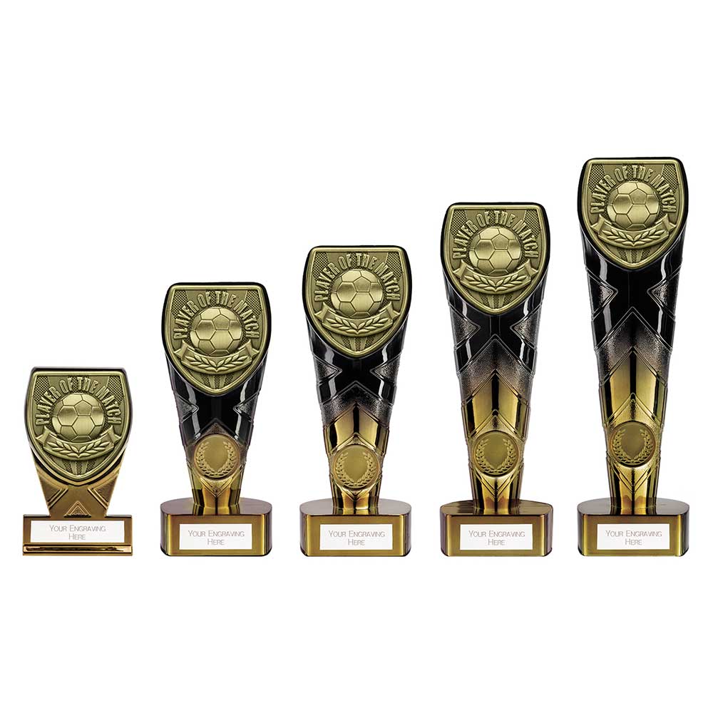 Fusion Cobra Player of Match Award - Trophies - Prudhoe Rosettes