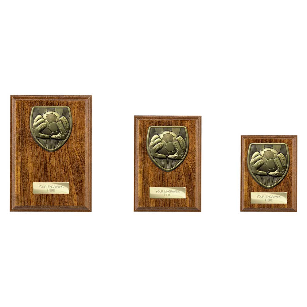 Cobra Plaque Football Goal Keeper Award - Trophies - Prudhoe Rosettes