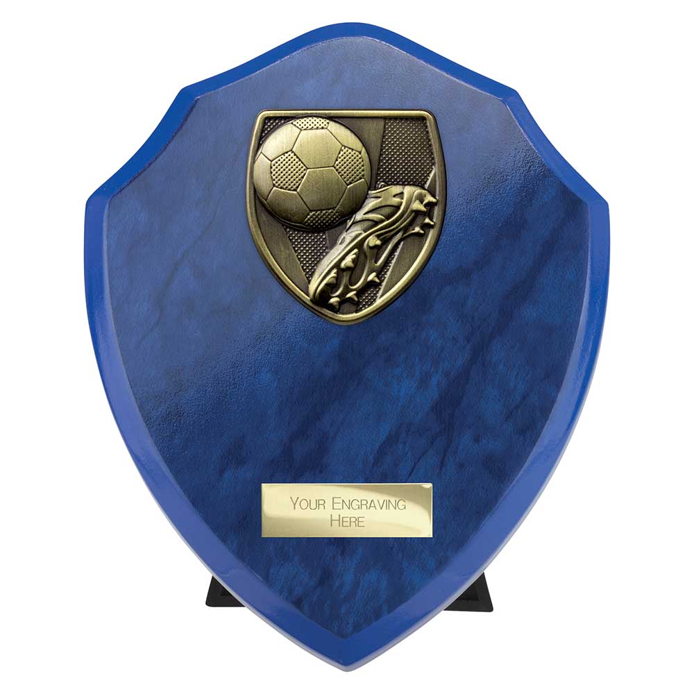 Cobra Shield Football Boot & Ball Award