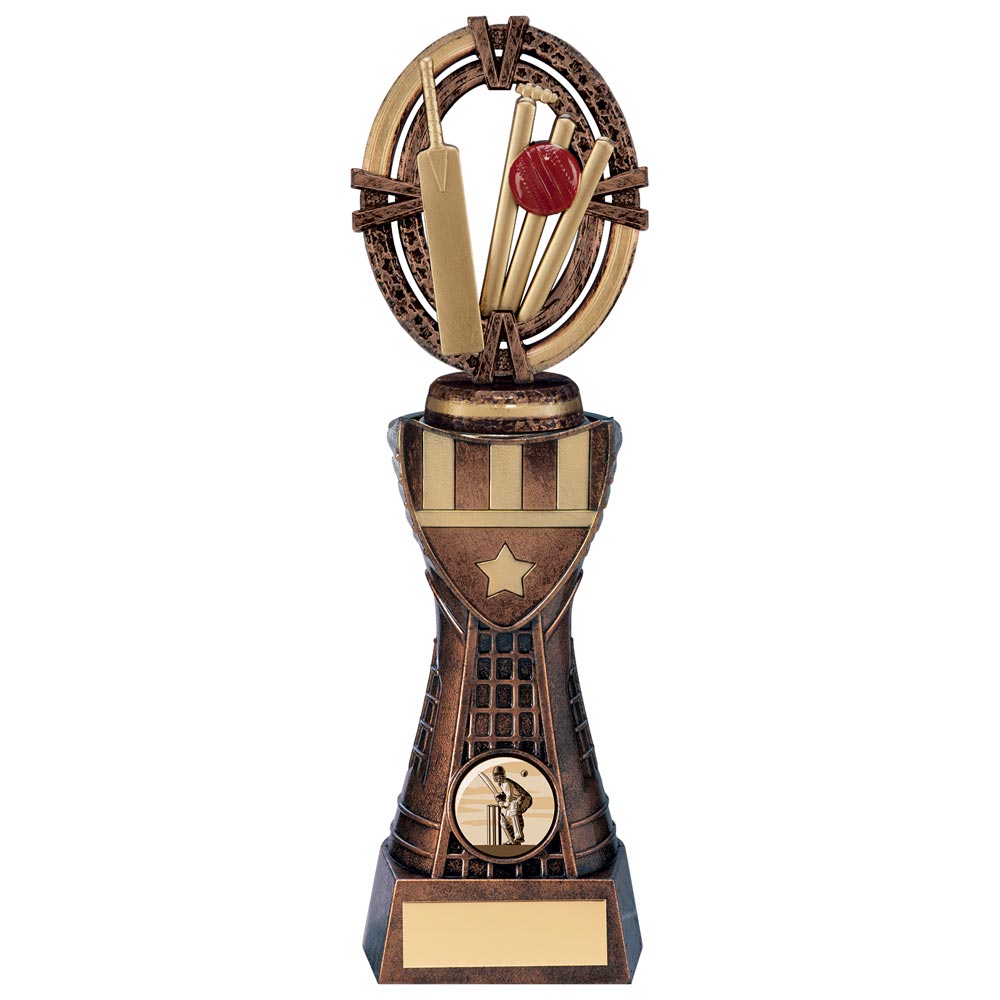 Maverick Cricket Heavyweight Award