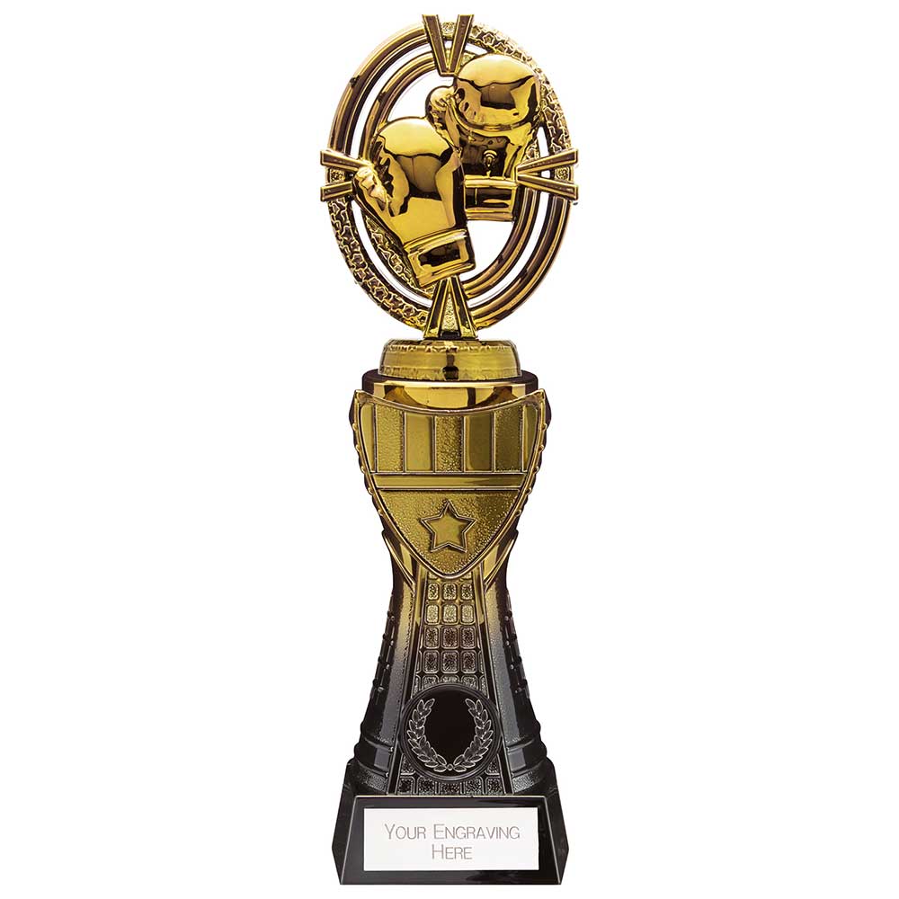 Maverick Heavyweight Boxing Award